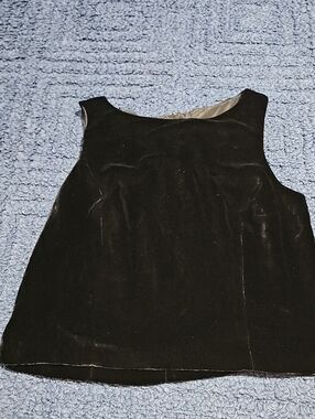 The Limited Black Velvet Sleeveless Tank Top